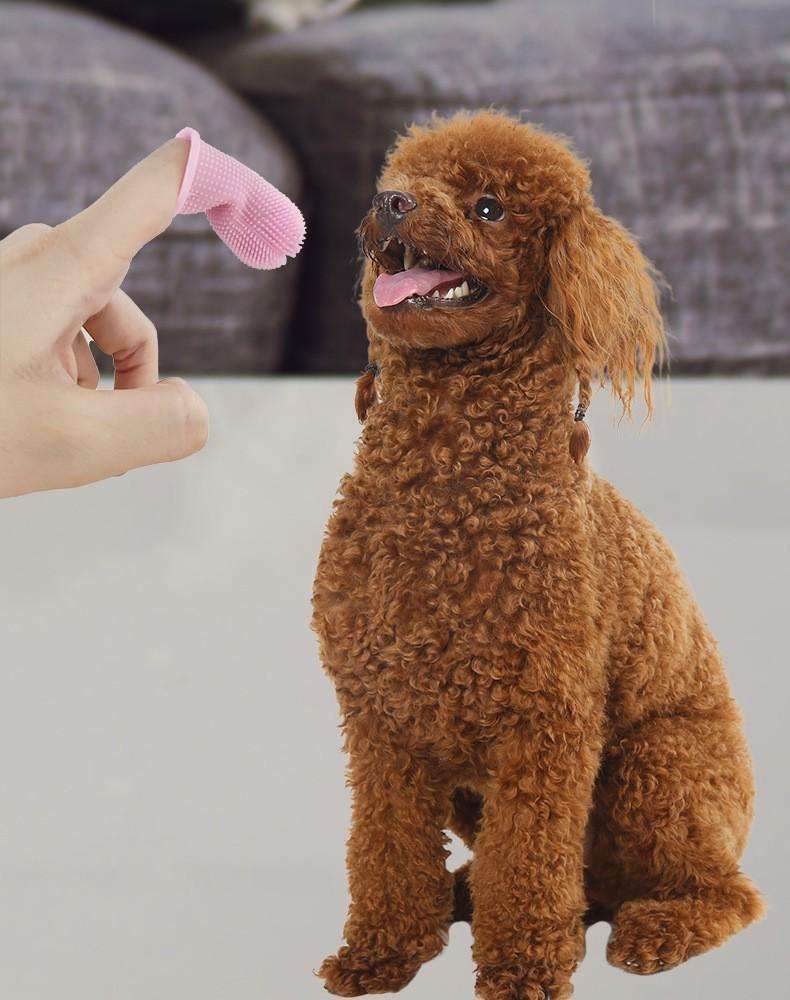 Pet Finger Toothbrush Dog Teeth Cleaning, MultiColor — image 4