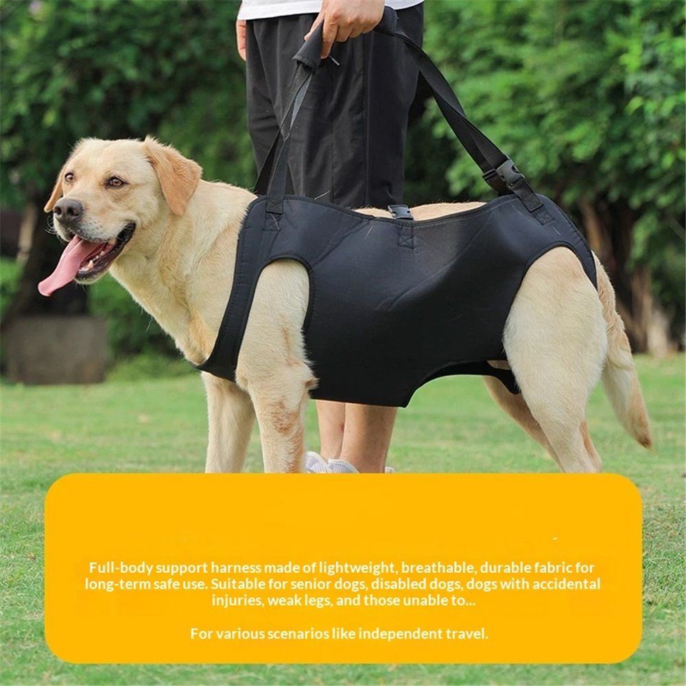 Full Body Lift Harness for Dogs,Canine Support Rehabilitation Dog Carrier Slings with Handles,Adjustable Lifting Straps Full Body Dog Lifting Harness (L) — image 3