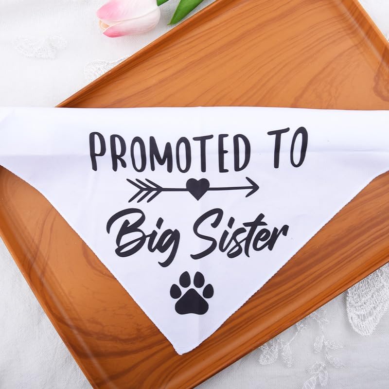Promoted to Be Big Sister Dog Bandana Baby Announcement Pet Bandanas for Dogs Scarf for Small Medium Large Dogs Baby Gender Reveal Photo Prop Pet Scarf — image 6