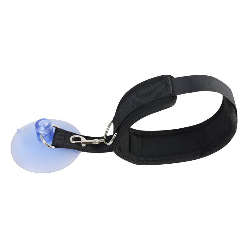 Dog Bathing Tether with Heavy Suction Cup,Pet Bathing Tether Heavy Duty Suction Cup Adjustable Collar Dog Tub Restraint — image 3