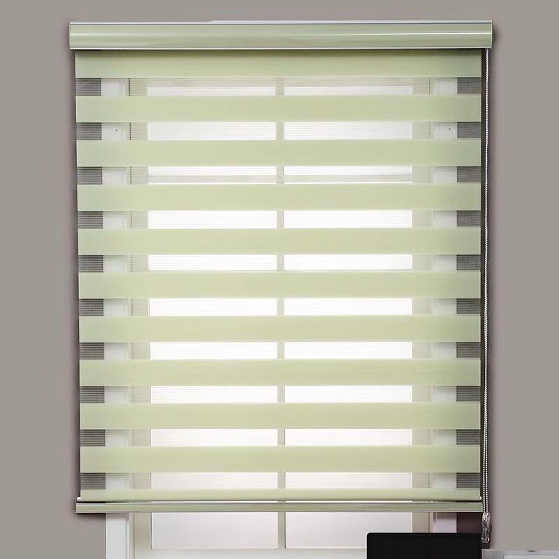 Day-Night Zebra Roller Blind, Green Light-Filtering Window Shade, 50 x 120 cm