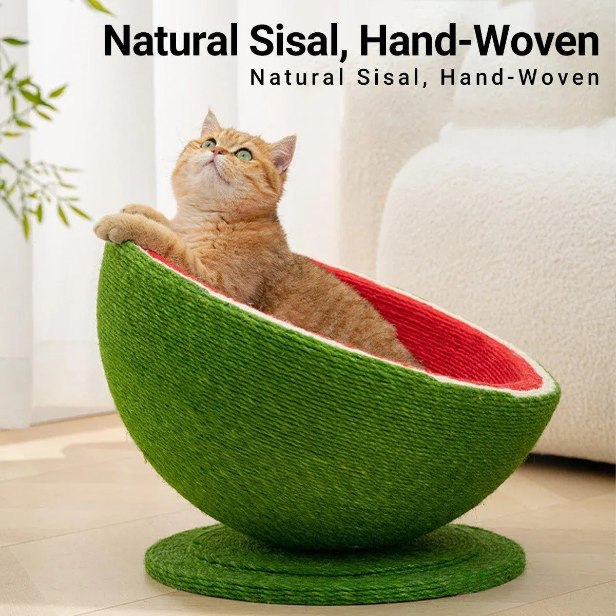Watermelon Cat Scratching Pot Board All in One Scratcher Toy for Cats Kitten — image 5