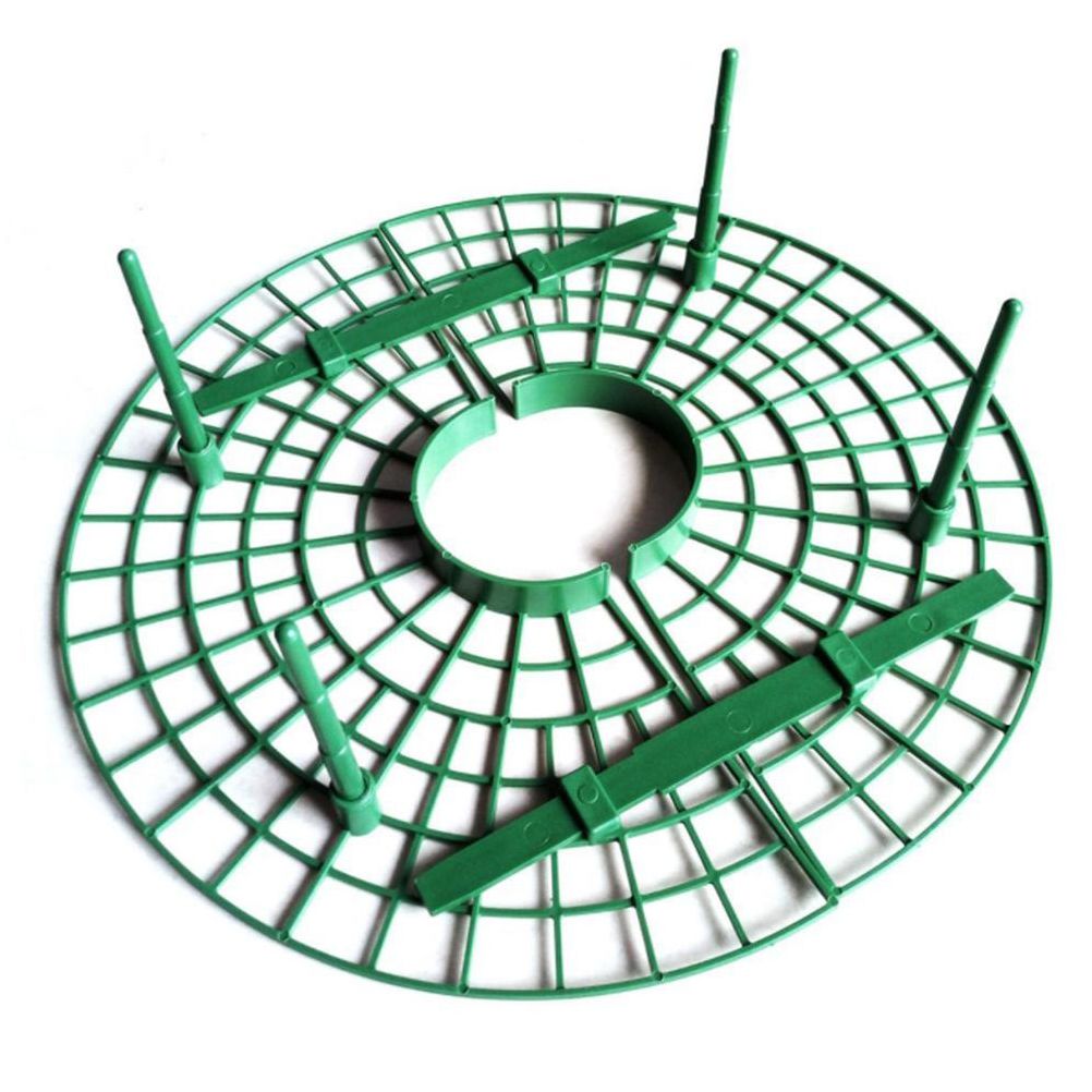 Strawberry Growing Support Practical Strawberry Rack Plant Climbing Vine Stand — image 3
