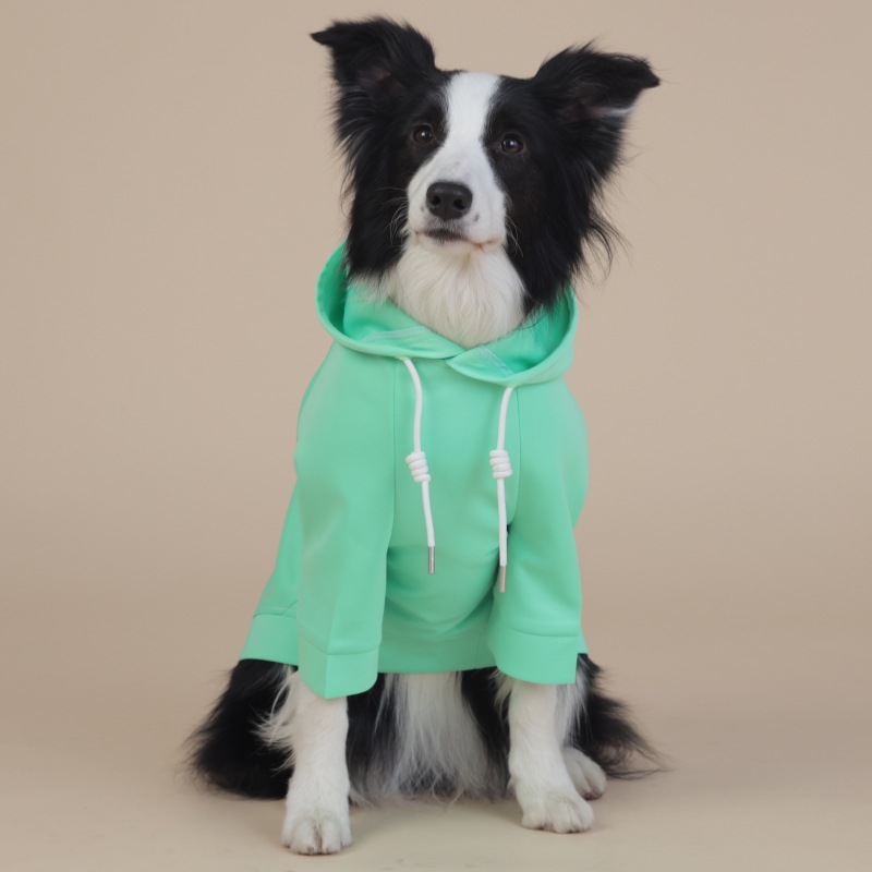 Green Classic Dog Sweatshirt with Hood & Drawstrings - For Large Dogs (Size: 6XL)
