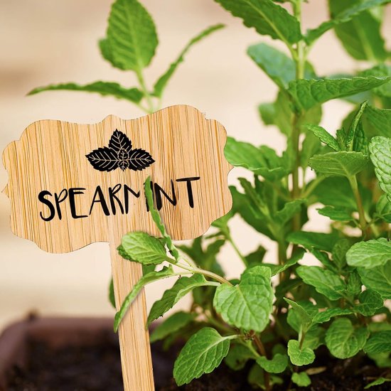 60 plant labels - Wooden garden labels - Decorative garden labels - Suitable for seeds, herbs in pots, flowers and vegetables β image 4