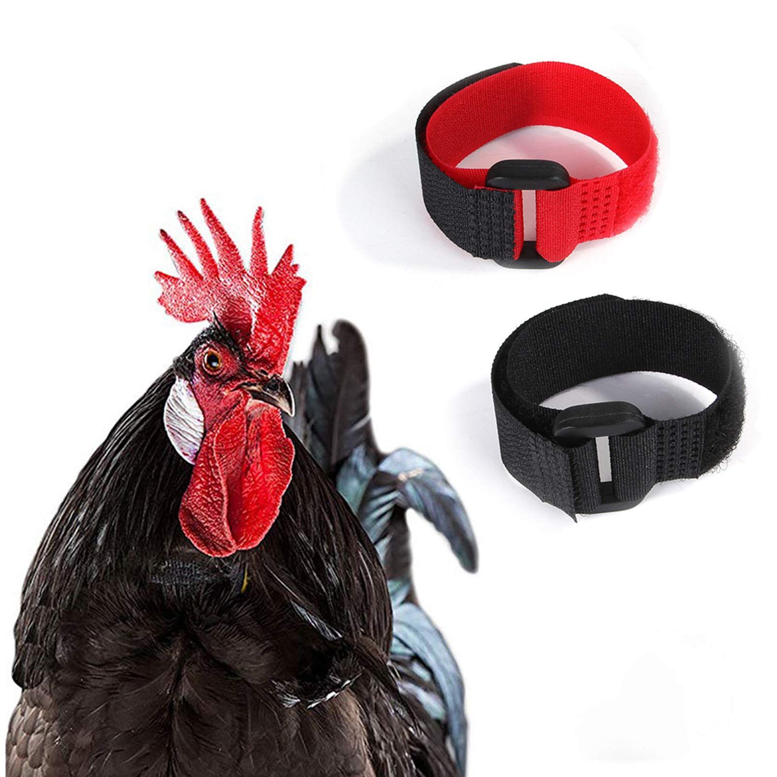 4Pcs Red Crow Rooster Collar, Collar Rooster CollarNo Crow Noise Neck Belt for Roosters Collars, Harnesses and Leashes — image 4