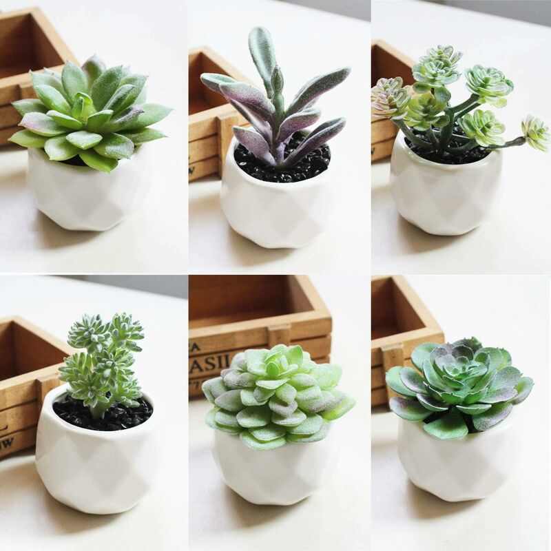 18 pcs Artificial Succulent Plants Flocking Potless Mini Fake Succulent Plants For Lotus Landscape Decorative Garden — image 3
