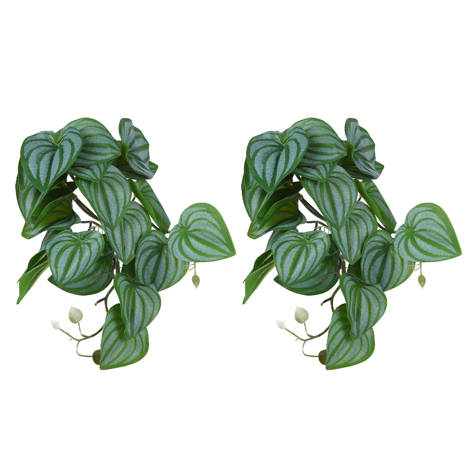 2PCS Artificial Water Plant Simulation Vine Lifelike Plastic Leaves Decoration with Suction Cup for Fish TankWatermelon Leaves — image 5