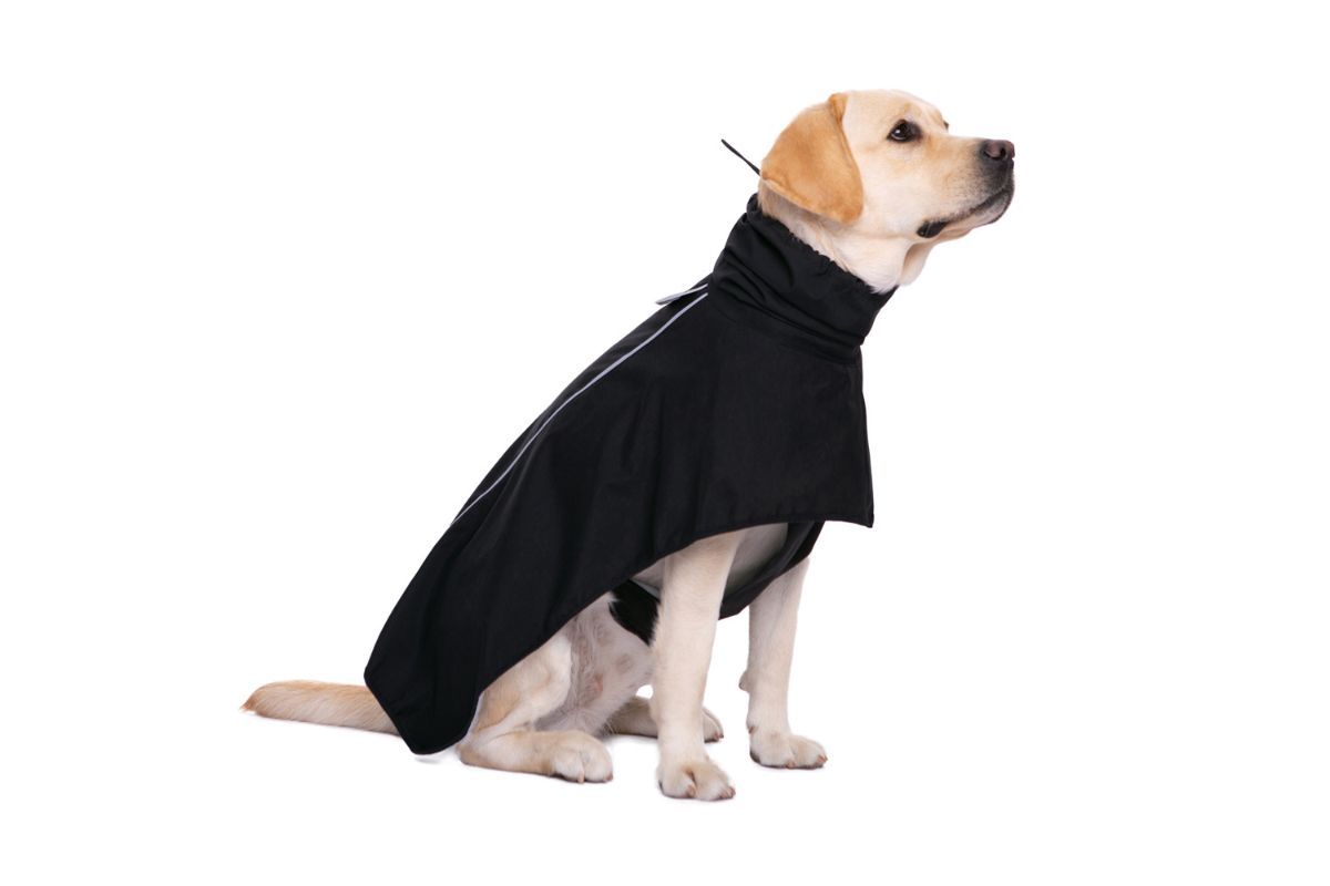 Waterproof Dog Poncho Reflective Dog Cape Dog Rainwear Pet Waterproof Clothing - Yellow - Size 7XL-30-40kg โ image 4