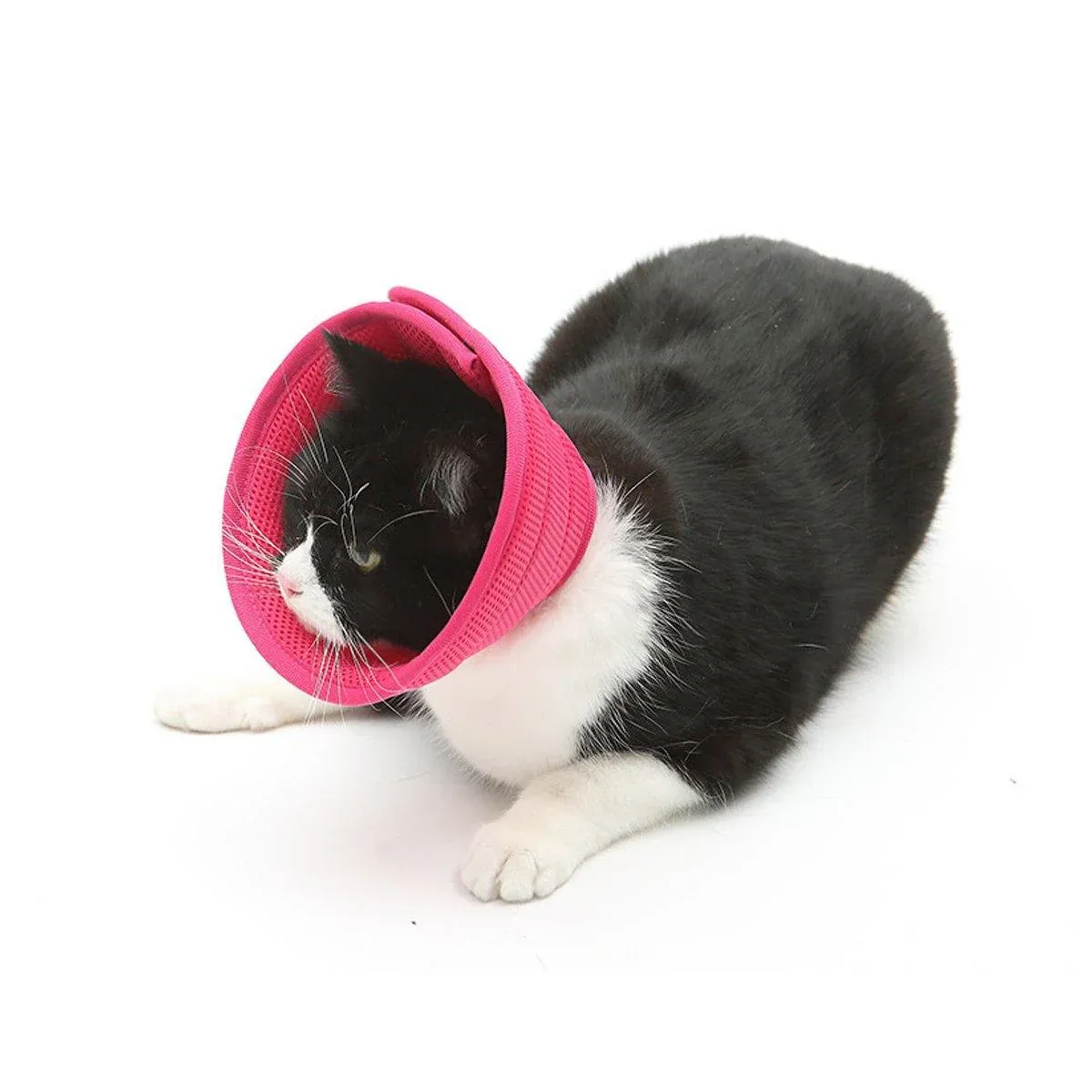 Elizabethan Collar Anti Licking Biting Pet Collar for Cats and Dogs Recovery Use - Rose Red-Size2 — image 5