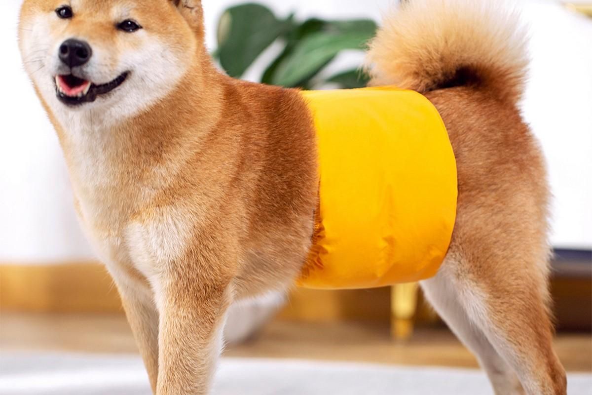 Washable Dog Diaper Water-resistant Puppy Nappy Belly Wrap for Male Dogs Reusable Dog Belly Bands Male Puppy Nappies Wrap Yellow - L — image 3