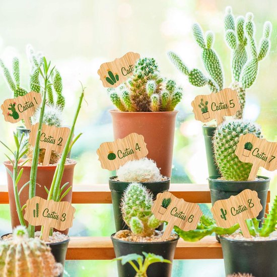 60 plant labels - Wooden garden labels - Decorative garden labels - Suitable for seeds, herbs in pots, flowers and vegetables β image 3