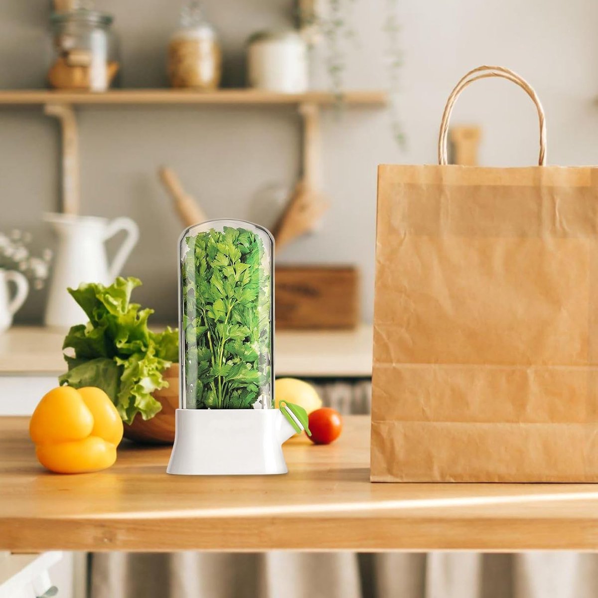 Herb Container - Herbs - Herb Jars - Fresh Keeper - Herb Vanilla Storage Container - BPA-Free - Keep Fresh - Coriander, Asparagus, Parsley and Mint - Free Herb — image 3