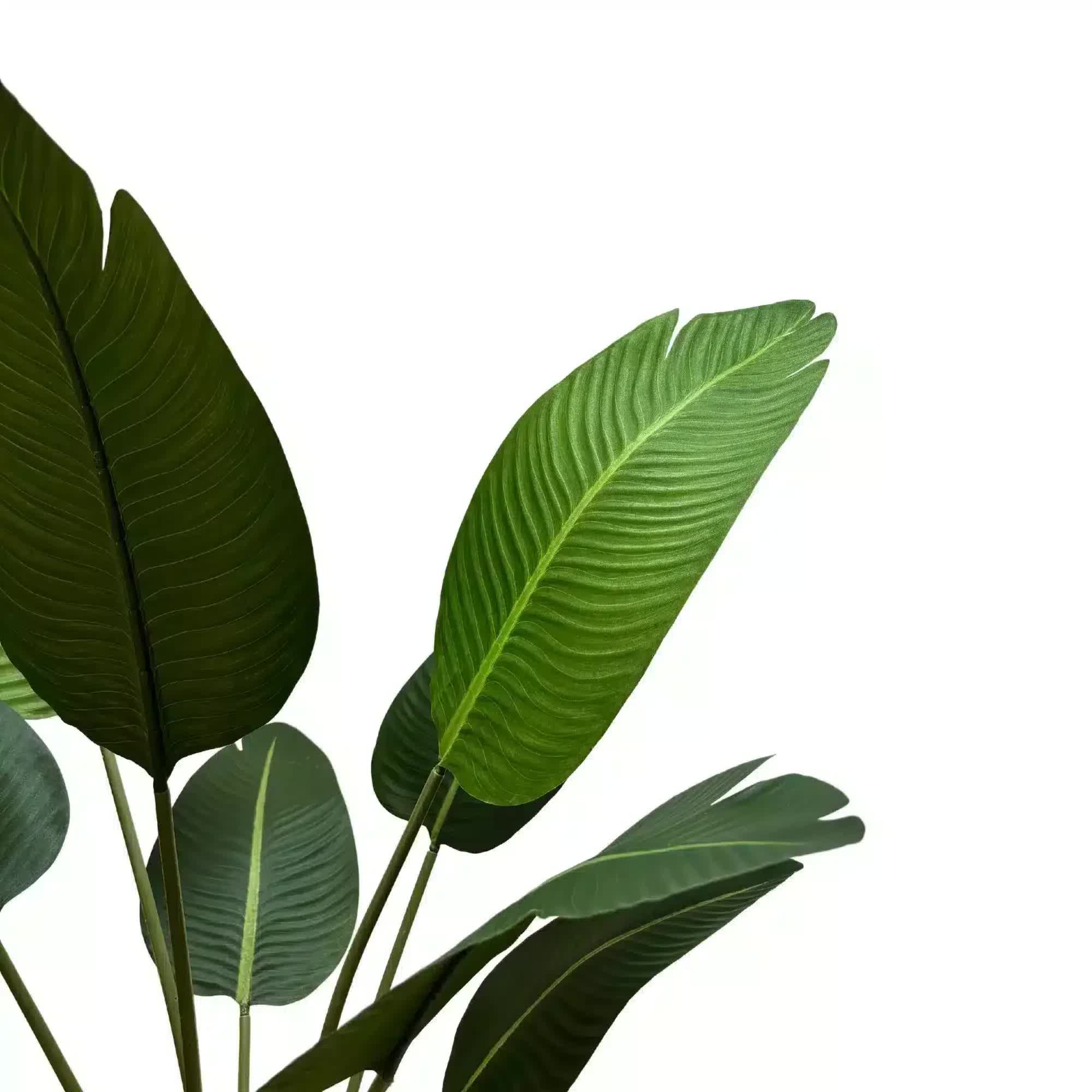 Grand Artificial Potted Travellers Palm (Banana Palm Tree) 120cm โ image 4
