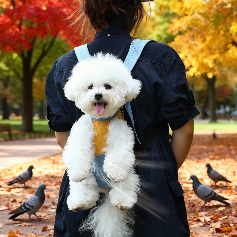 Red and white two-tone style Pet Carrier Backpack Front Chest Pack Legs Out Breathable Mesh for Small Dogs Cats Hiking Travel Hands Free Adjustable — image 2