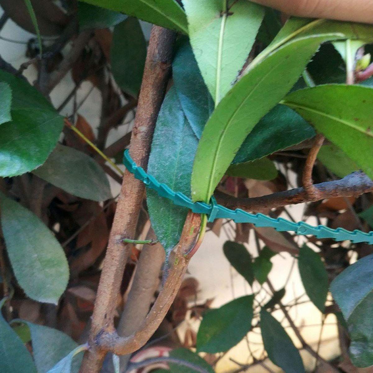 green multifunctional sturdy garden plant ties — image 4