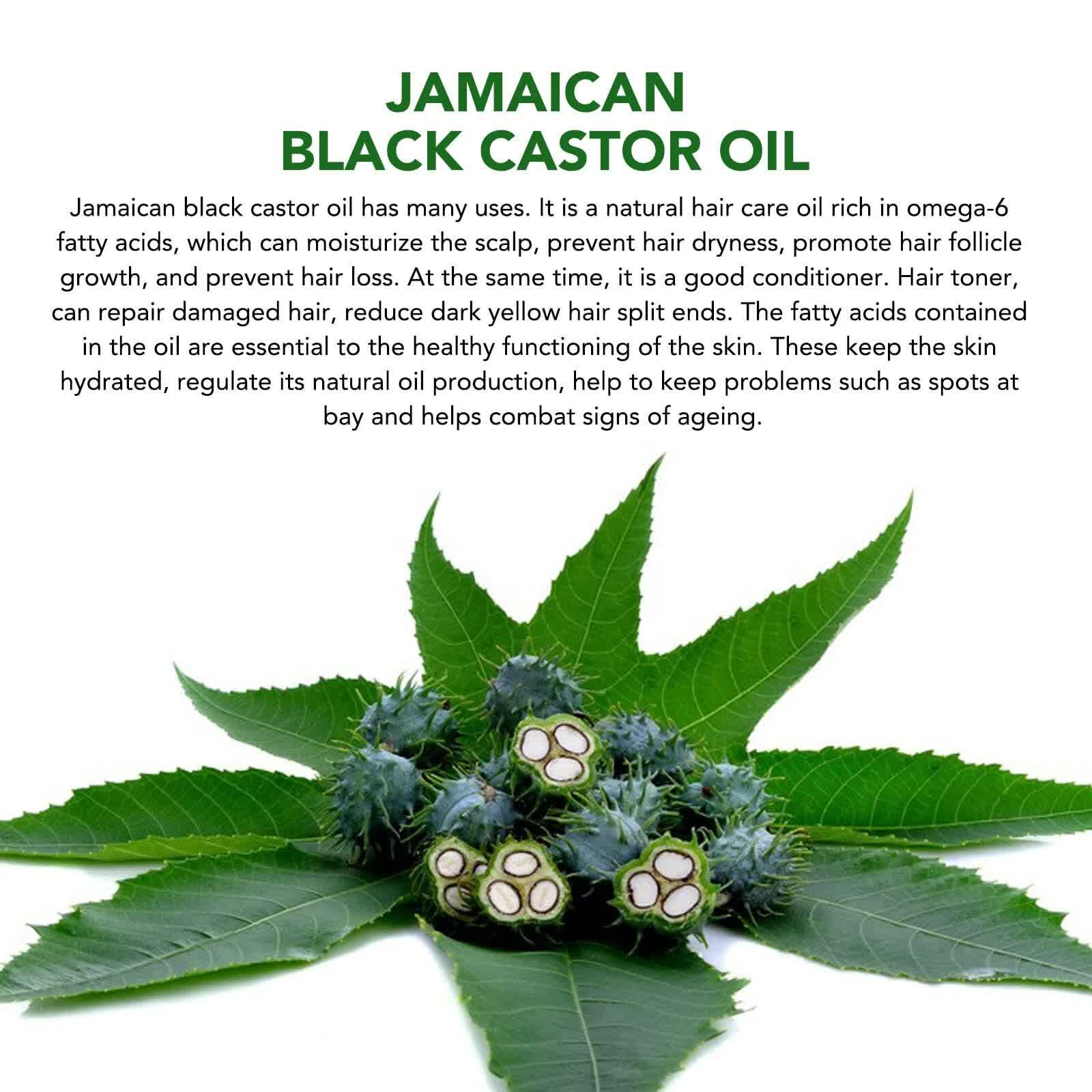 Black Castor Oil (2.02 fl oz), Jamaican Organic Regrowth Treatments β image 3
