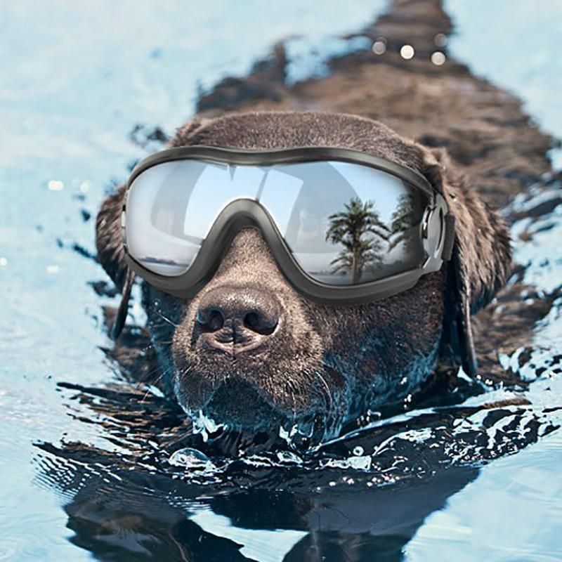 Fashion Pet Dog Doggles Goggles Uv Sunglasses Sun Glasses Eye Wear Protection — image 5