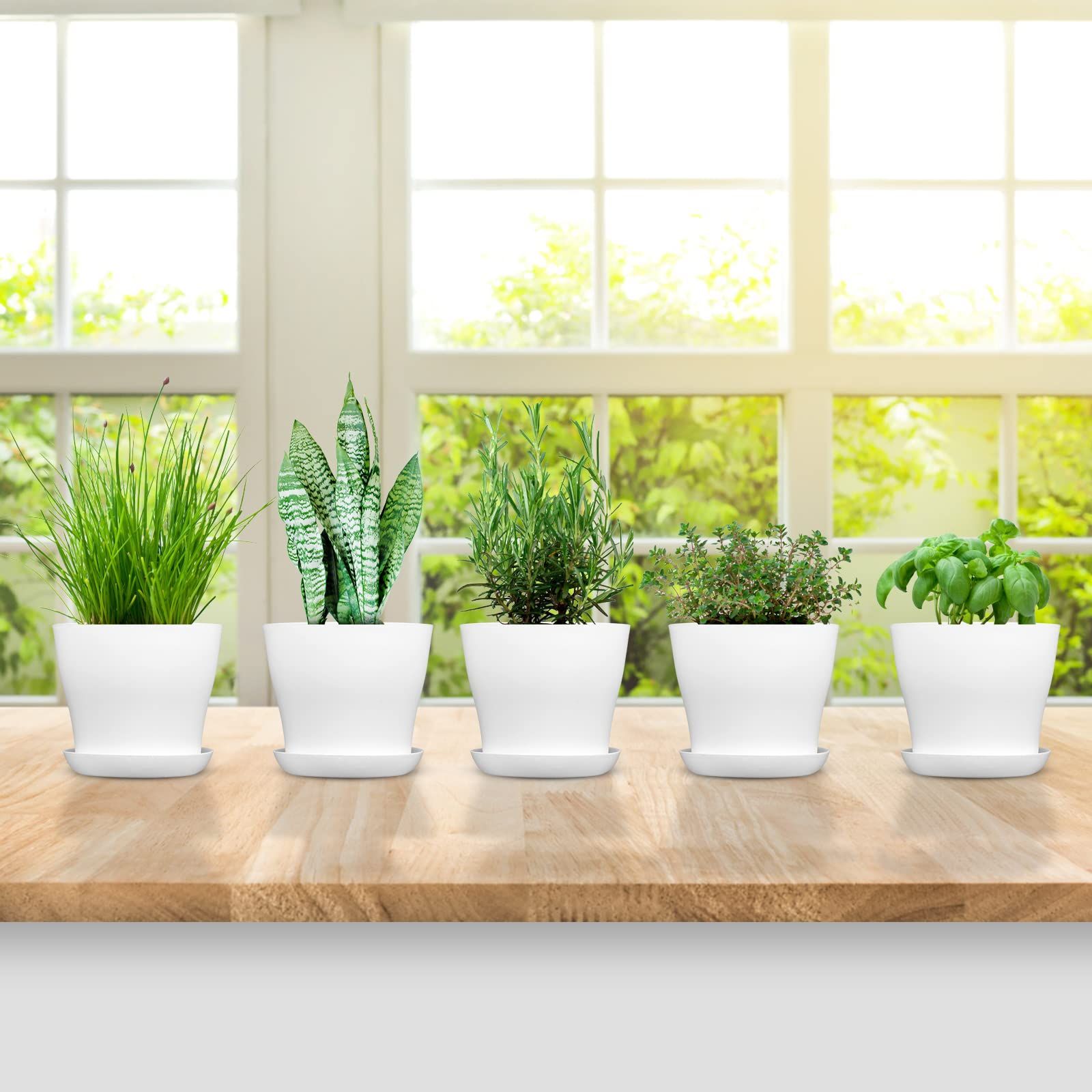 5 Pack Plastic Flower Pot Indoor Outdoor Modern Decorative Plant Pots with Drainage Hole and Tray for Office Desk Home Garden — image 5