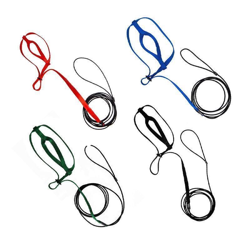 S Pet Parrot Bird Harness Lead Leash Flying Training Rope Cockatiel Outdoor - Green โ image 3