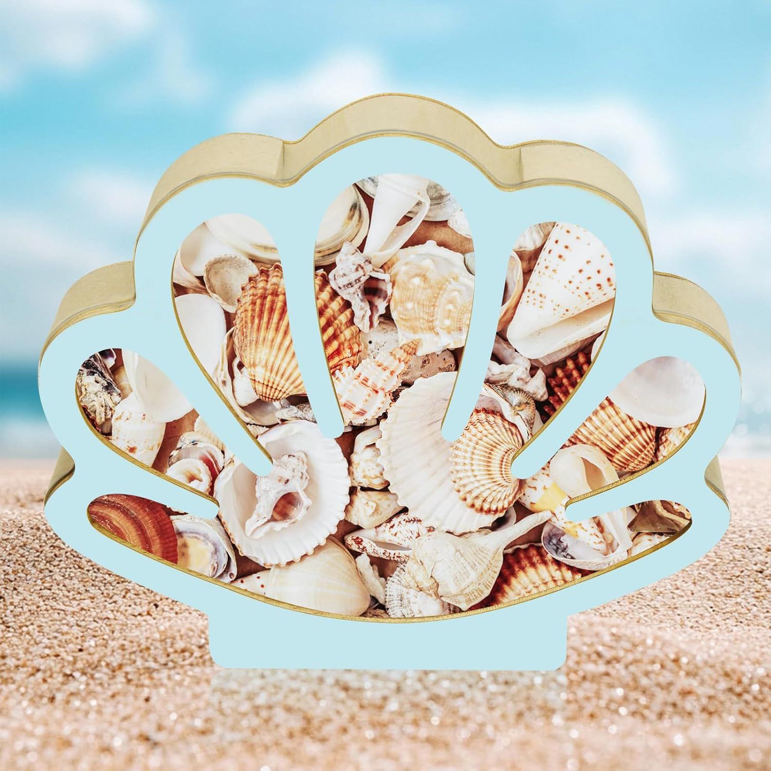 Wooden Seashell Display Box, Blue Coastal Storage and Decorative Organiser for Shell Collections, Home Decor, Bedrooms and Gift Giving — image 4
