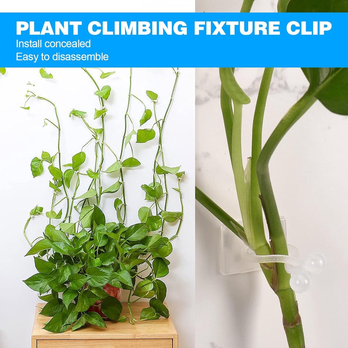 Plant Clips - Climbing Plant Guide - Tie Up - Plant Support - Garden Clips - Cable Organizer - Wall-Mounted Plant Clips - For Indoor Use - Wall — image 2