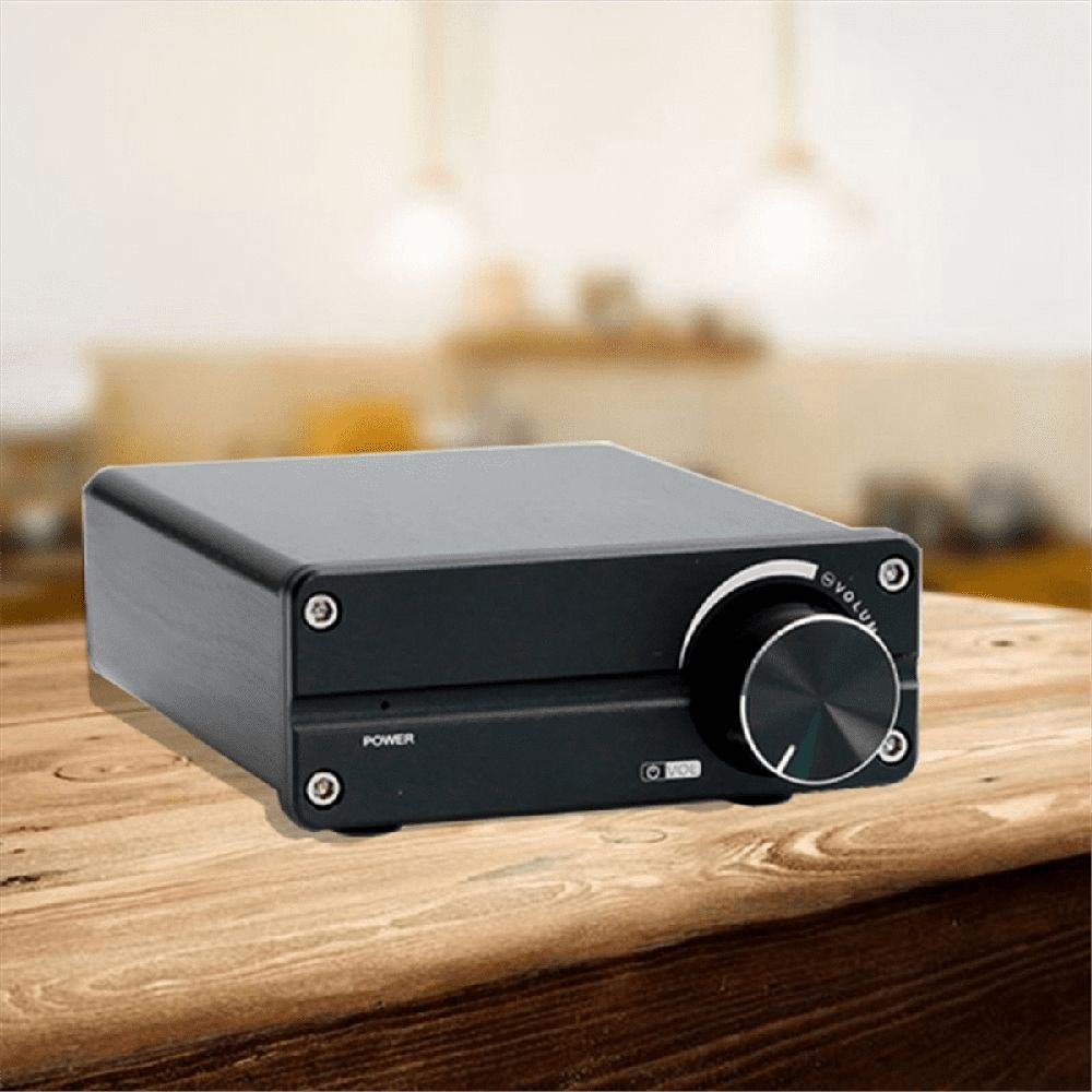 100W D100 TPA3116 Digital Power Amplifier Single Sound Channel Class D Desktop Subwoofer for Home Audio Stereo System — image 5