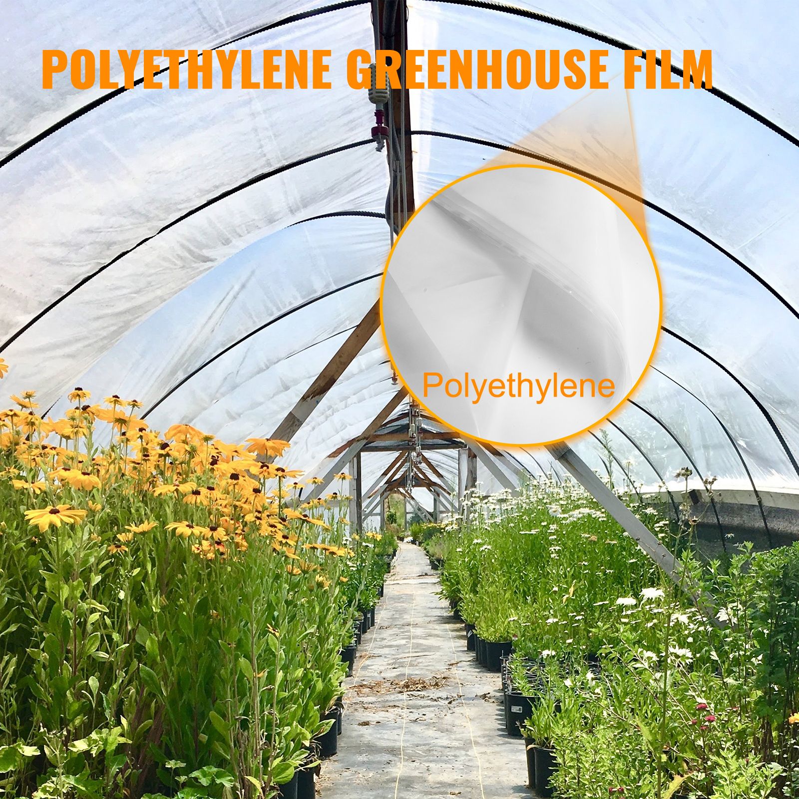 Greenhouse Film, Greenhouse Polyethylene Film 12x25 ft Greenhouse Plastic โ image 2