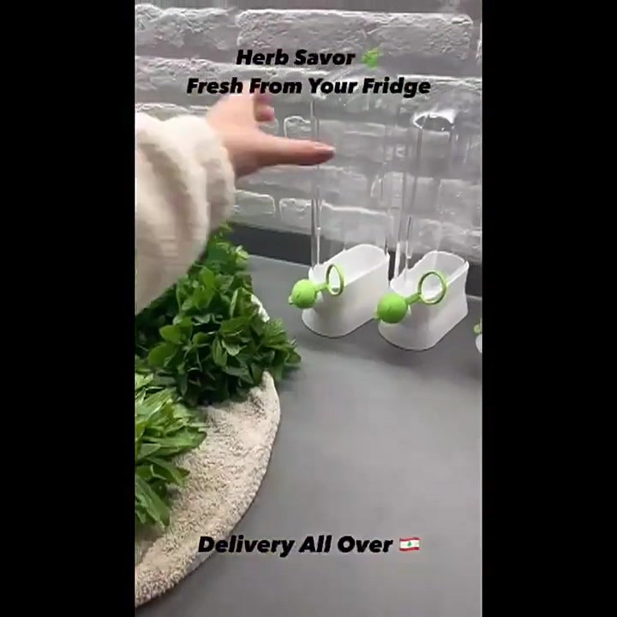Herb Container - Herbs - Herb Jars - Fresh Keeper - Herb Vanilla Storage Container - BPA-Free - Keep Fresh - Coriander, Asparagus, Parsley and Mint - Free Herb — image 2
