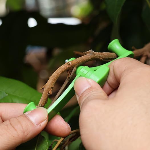 Fruit Trees Limb Spreaders Adjustable, Fruit Tree Branch Spreader New Branch Spreader Puller for Shaping, Bonsai Plant — image 5