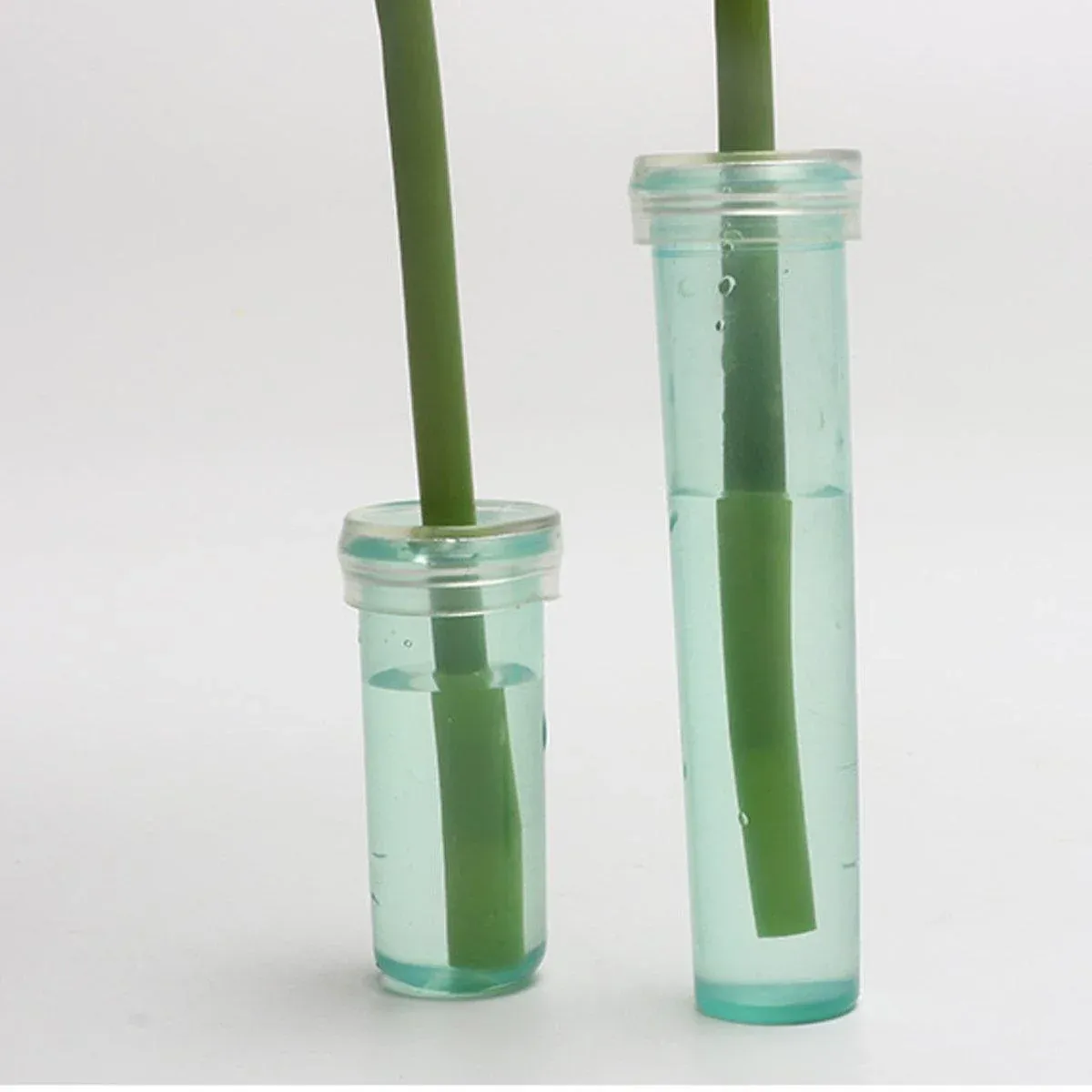 100/200PCS Flower Fresh Keeping Tube Floral Bouquet Nutrition Water Care Supply - 1.8*4cm - Transparent 200PCS โ image 6