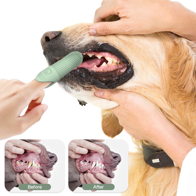 4 Pcs Green Soft Silicone Pet Finger Toothbrush - Gentle Dental Care for Dogs & Cats, Tartar & Plaque Remover — image 3