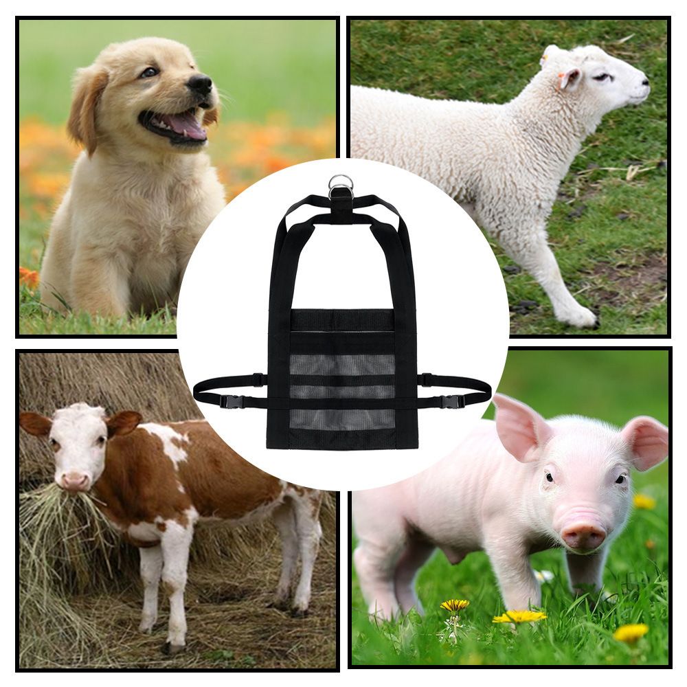 Calf Sling for Weighing Animals, Lamb Scale Hanging Weight Scale Sling with D-Ring Adjustable for Weighing Lamb Baby Alpaca — image 4
