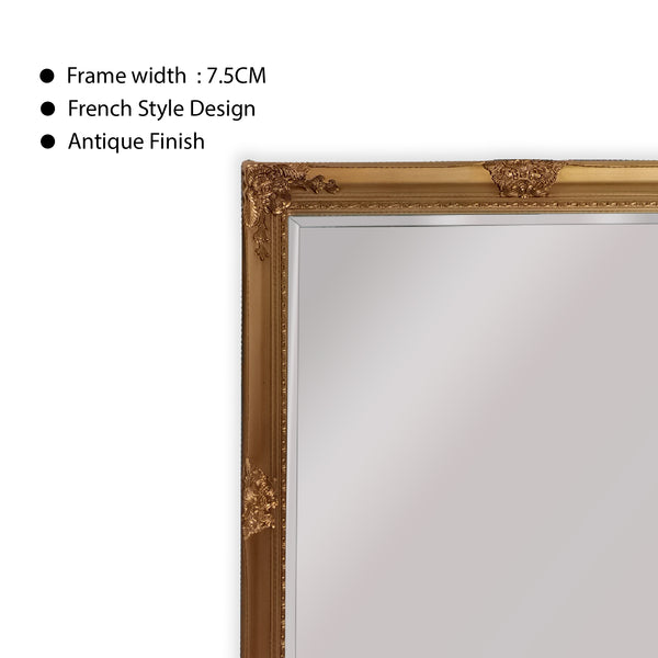 French Provincial Ornate Mirror - COUNTRY GOLD - X Large 100cm x 190cm โ image 5