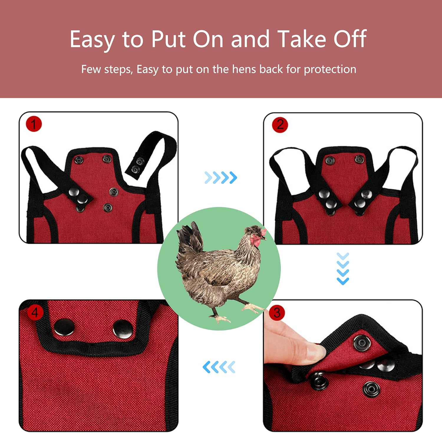 3 Piece Chicken Saddle Set Red/Blue/Purple Elastic Strap Back and Side Protection Poultry Accessories — image 5
