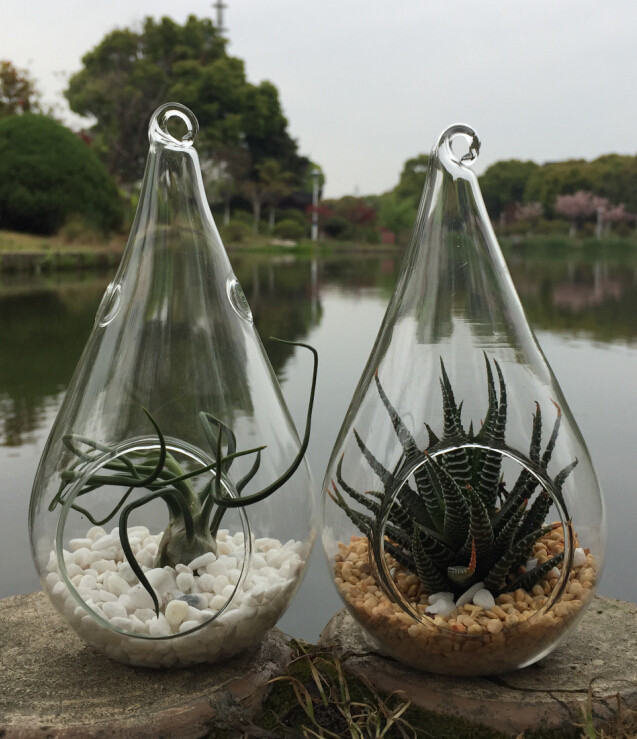 4 Pack of Hanging Clear Glass Tealight Candle Holder Tear Drop Pear Hour Glass Shape - 20cm High Terrarium Plant Mini Garden Holder Decoration Craft Gift โ image 6