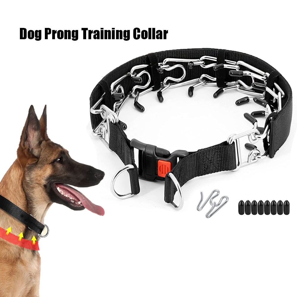 Heavy-Duty Dog Training Spike Collar with Durable Nylon Webbing, Chrome-Plated Pins & Quick-Release Buckle for Behavioral Correction, Leash Control