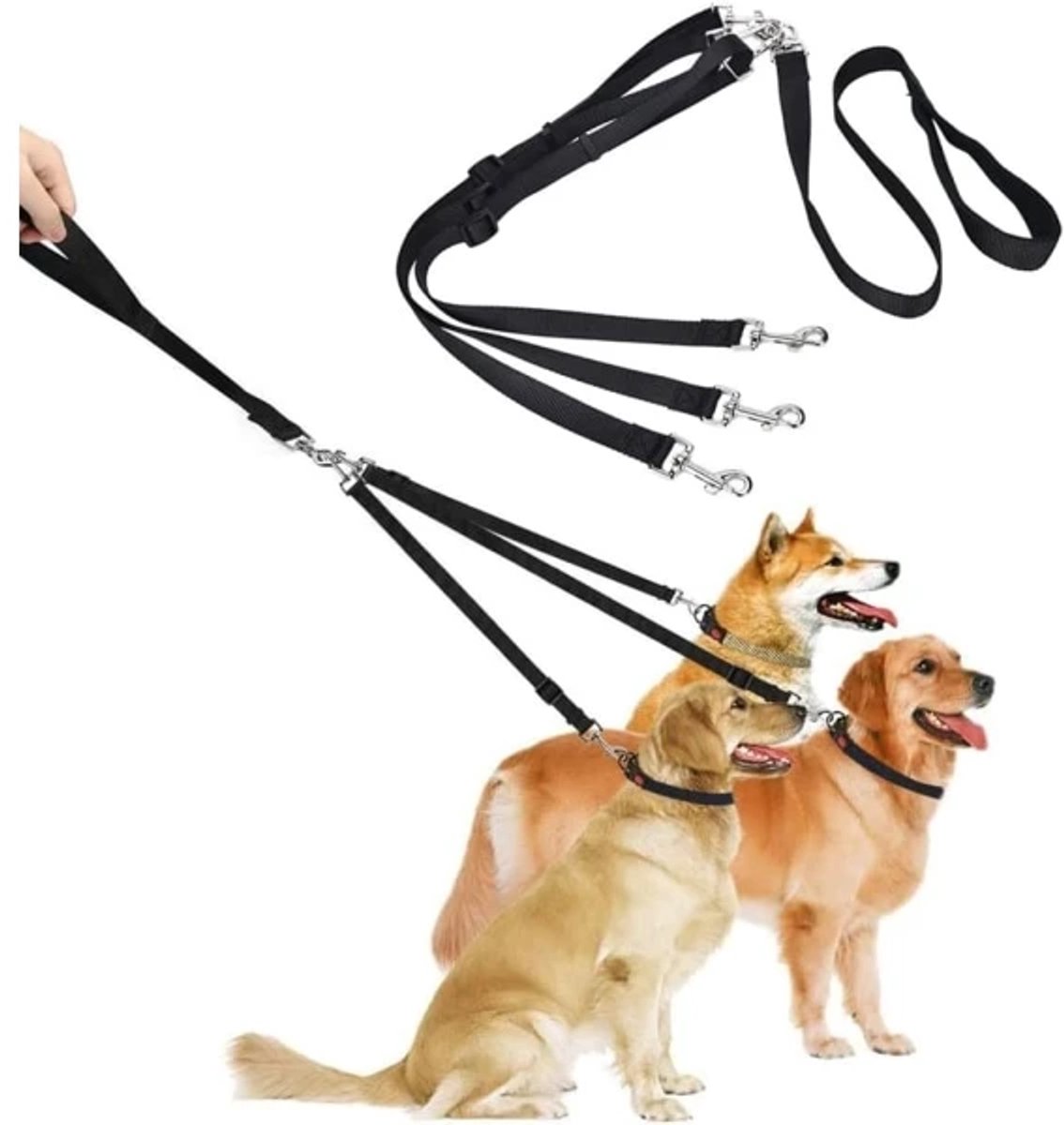 3-in-1 Dog Leash – Adjustable, detachable, for medium-sized dogs — image 5