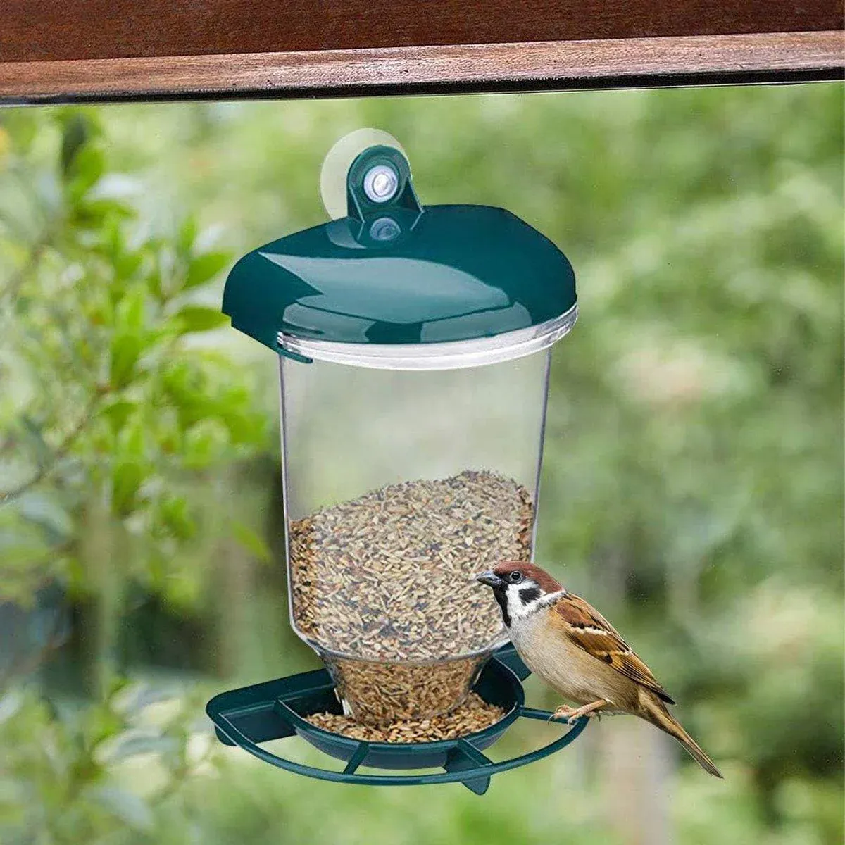 Clear Plastic Automatic Bird Feeder Suspended Suction Cup Feeder with Cover โ image 5