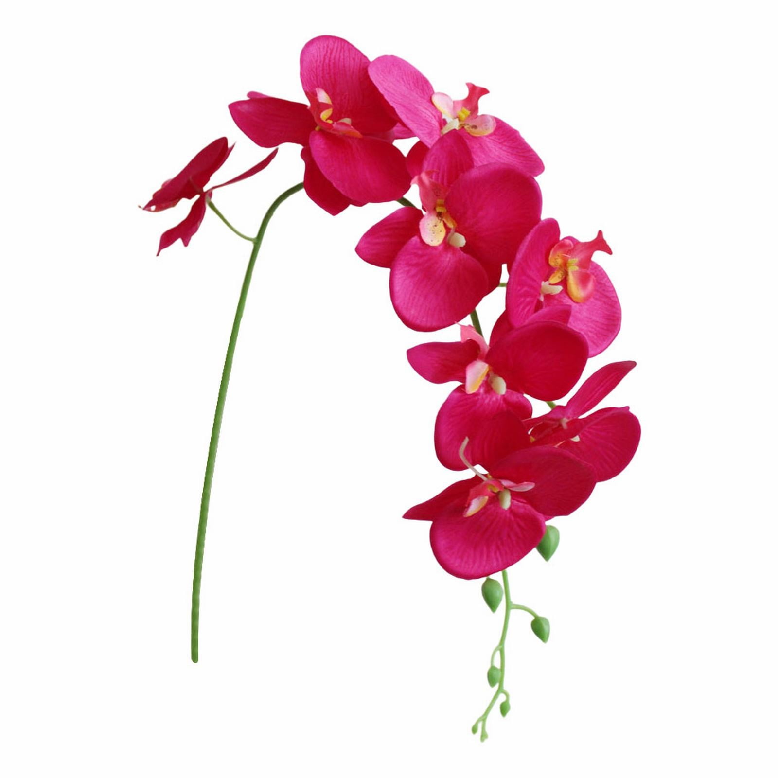 Flowers Faux Butterfly Orchid 1 Pc Real Double Branch Silk Flowers for Wedding Home Office Party Hotel Yard Decoration Restaurant Patio Festive Furnishing, 1