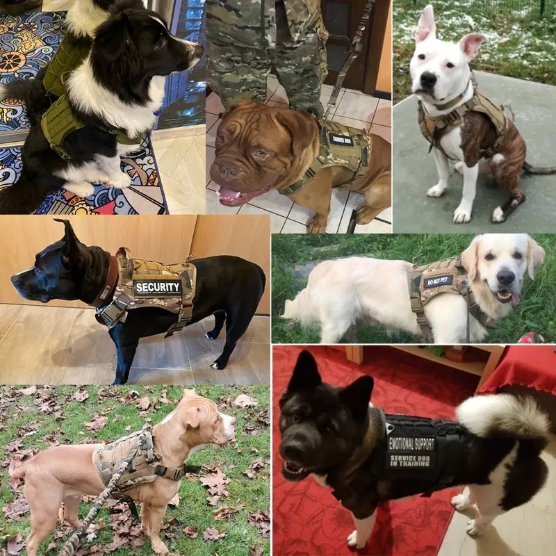 Dog Tactical Vest Polyester Military Style XXL โ image 3