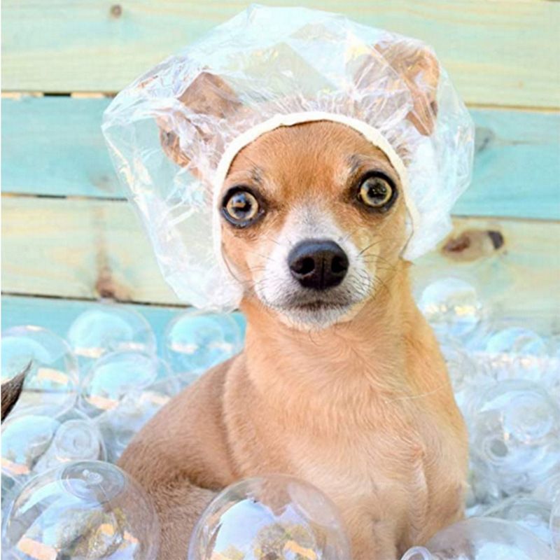 100 PCS Disposable Shower Caps, Clear Shower Caps for Travel, large Plastic Hair Caps for Women, Home Use, Hotel β image 2