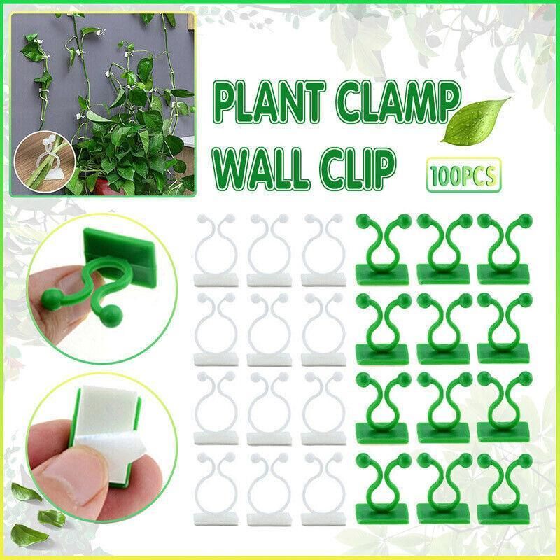 100Pcs Invisible Wall Clips for Plant Climbing & Vine Support โ image 2