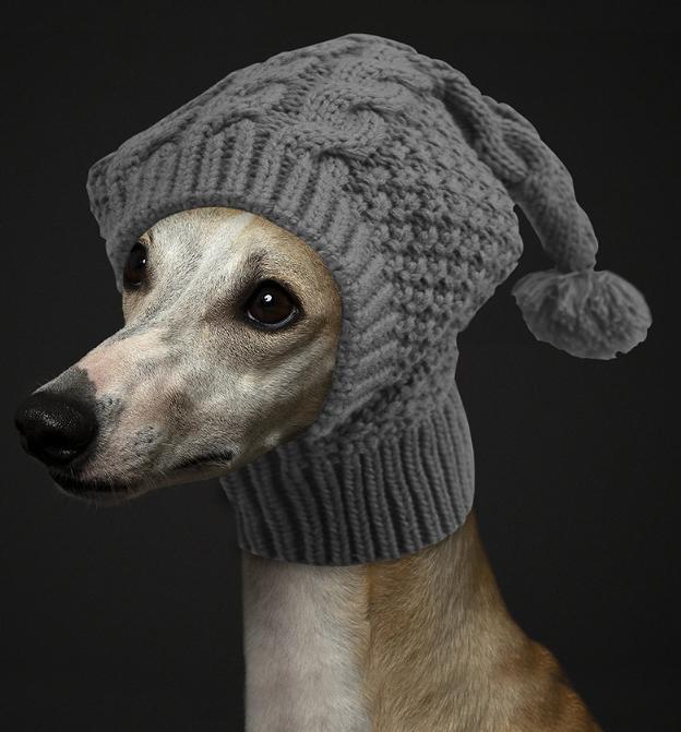 Size M Grey Whimsical Knit Dog Hat with Pom-Pom - Cozy Winter Pet Beanie & Snood — image 2