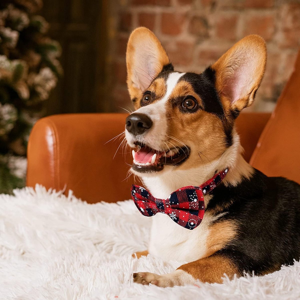 Christmas Dog Bow Tie - Festive Dog Bow Tie - Collar with Bow - Dog Collar - Red - Checkered Bowtie - Adjustable Neckline - Dog Accessories - Dog Clothing — image 5