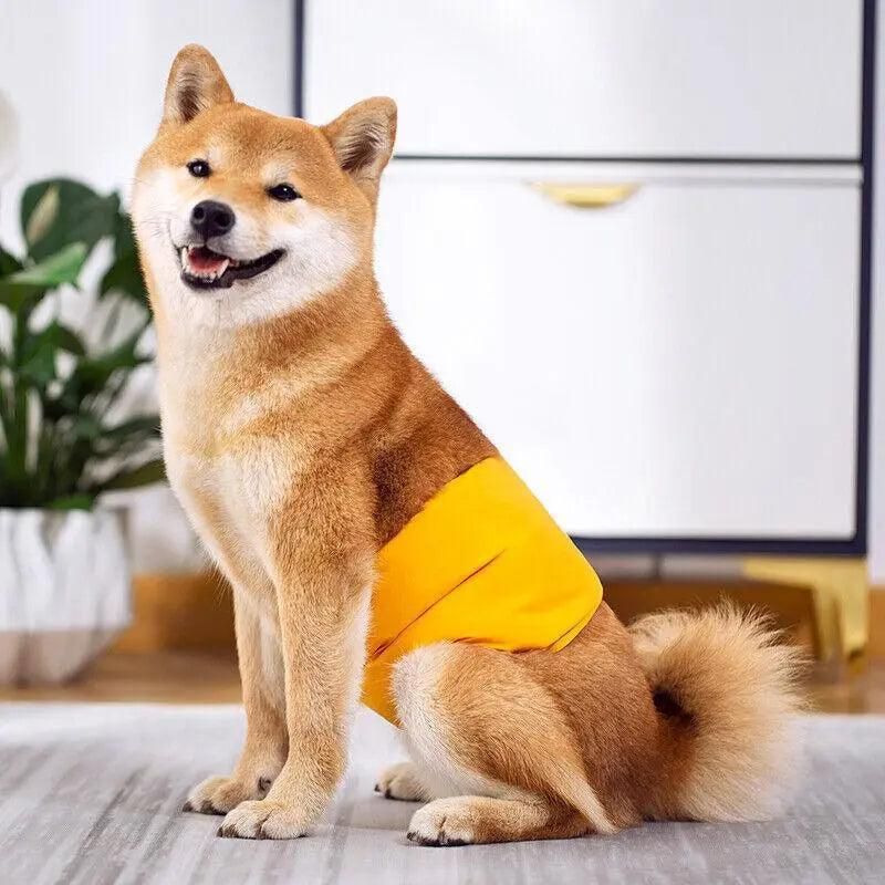 XL Male Dog Puppy Nappy Diaper Belly Wrap Band Sanitary Pants Underpants - Green โ image 5