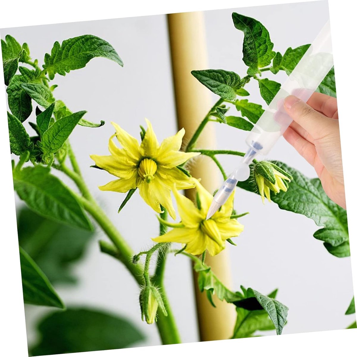 Pollination Pen - Professional Plant Pollinator Tool - Practical & Efficient - For Flower Pollination - Manual Pollinator Range - Garden Tools - For Various — image 4