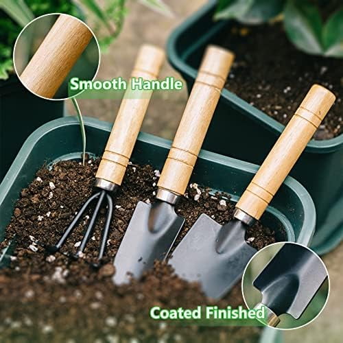 Small Garden Tool Set, 6 Pieces Iron Gardening Kit Including Hand Shovel, Transplant Shovel and Hand Rake with Wood Non-Slip Handle Perfect for Plant Lovers — image 5