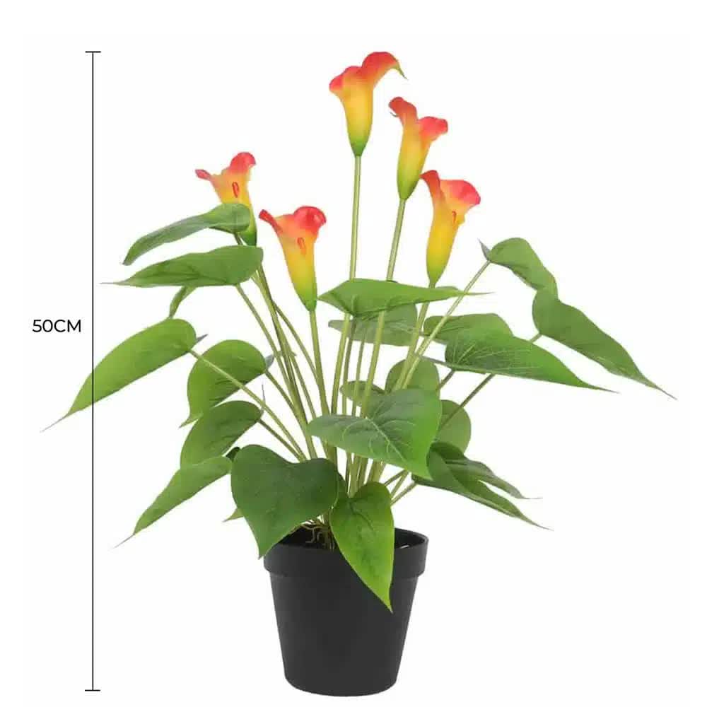Artificial Flowering White & Orange Peace Lily / Calla Lily Plant 50cm โ image 2