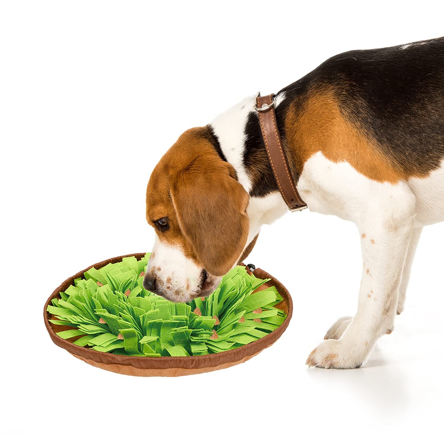 Dogs Feeding Mat, Dog Mat Slow Feeding Bowl Dog Anti-Slip Nose Work Spliced Training Mat Encourages Natural Foraging Skills